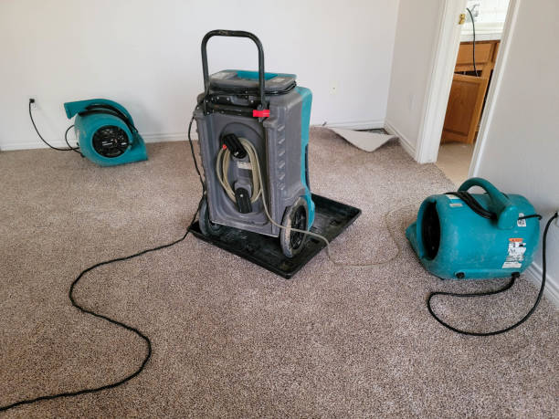 Best Water damage restoration near me  in Bangor, PA