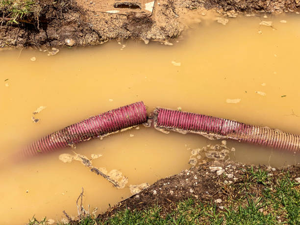 Reliable Bangor, PA Water damage restoration Solutions