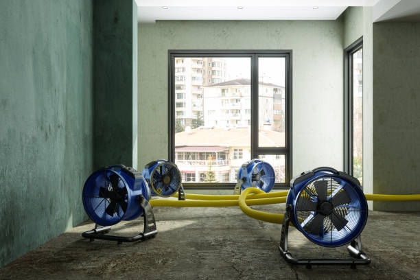 Trusted Bangor, PA Water damage restoration Experts