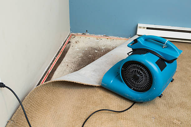 Best Fire Damage Restoration  in Bangor, PA